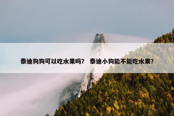 泰迪狗狗可以吃水果吗？ 泰迪小狗能不能吃水果？