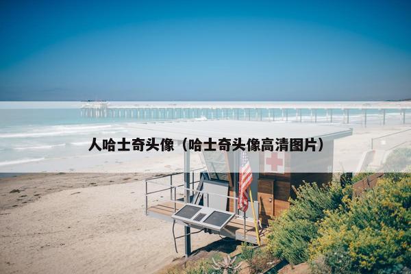 人哈士奇头像（哈士奇头像高清图片）