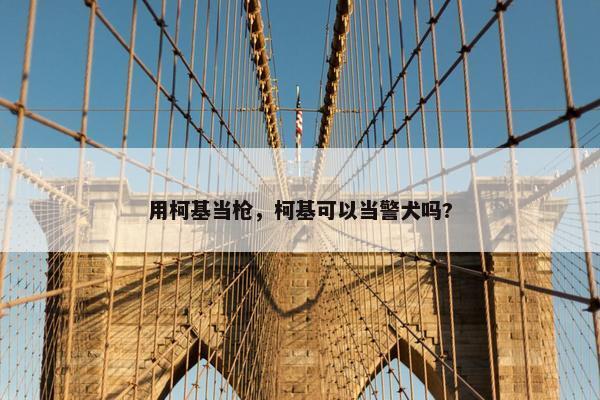 用柯基当枪，柯基可以当警犬吗?