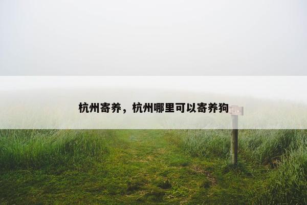 杭州寄养，杭州哪里可以寄养狗