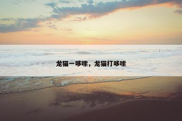 龙猫一哆嗦，龙猫打哆嗦