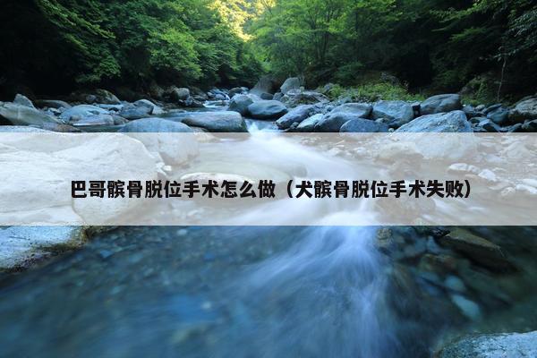 巴哥髌骨脱位手术怎么做（犬髌骨脱位手术失败）