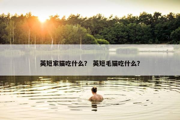 英短家猫吃什么？ 英短毛猫吃什么？