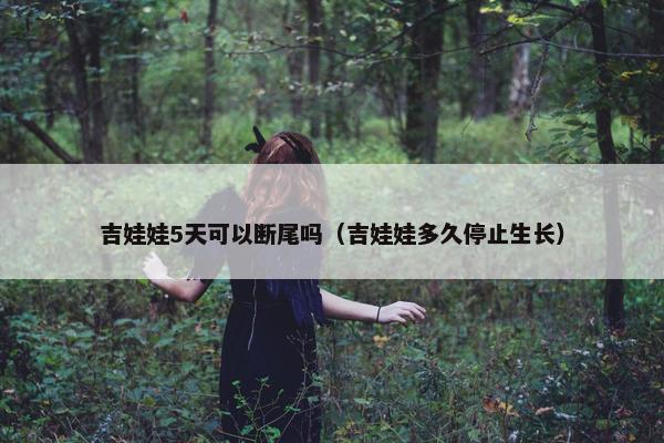 吉娃娃5天可以断尾吗（吉娃娃多久停止生长）