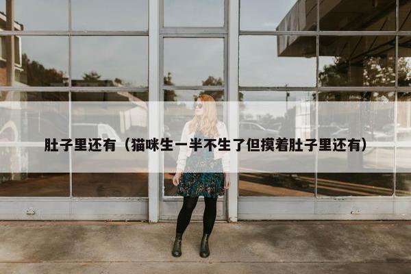 肚子里还有（猫咪生一半不生了但摸着肚子里还有）