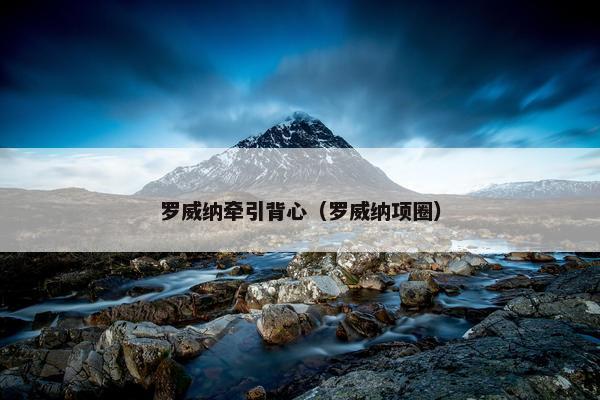 罗威纳牵引背心（罗威纳项圈）