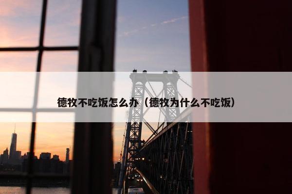 德牧不吃饭怎么办（德牧为什么不吃饭）