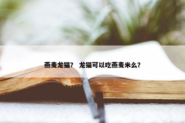 燕麦龙猫？ 龙猫可以吃燕麦米么？