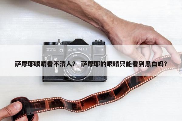 萨摩耶眼睛看不清人？ 萨摩耶的眼睛只能看到黑白吗？