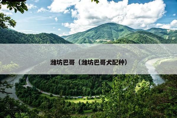 城市