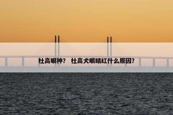 杜高眼神？ 杜高犬眼睛红什么原因？