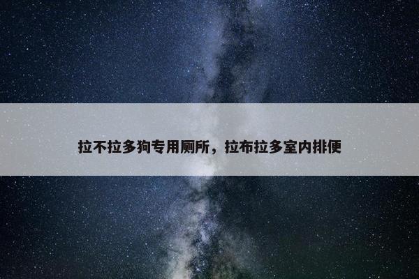 拉不拉多狗专用厕所，拉布拉多室内排便