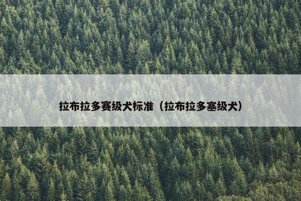 拉布拉多赛级犬标准（拉布拉多塞级犬）