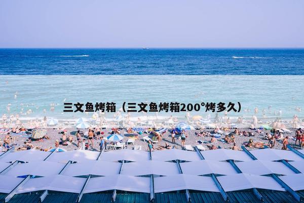 三文鱼
