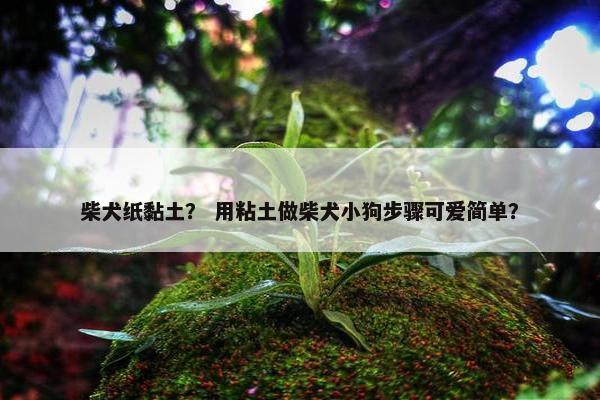 柴犬纸黏土？ 用粘土做柴犬小狗步骤可爱简单？