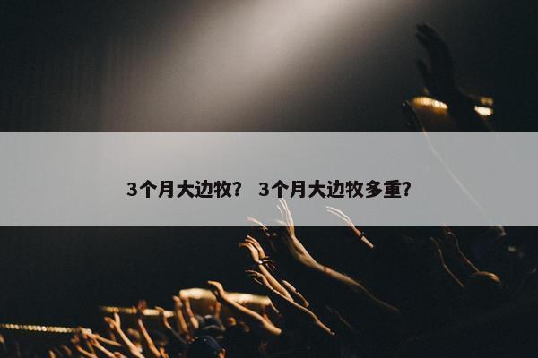 3个月大边牧？ 3个月大边牧多重？