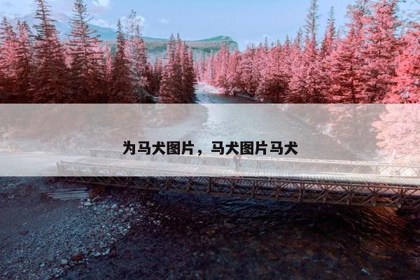 为马犬图片，马犬图片马犬