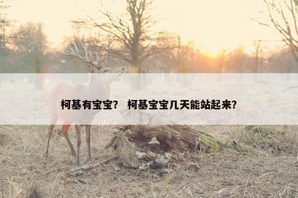 柯基有宝宝？ 柯基宝宝几天能站起来？