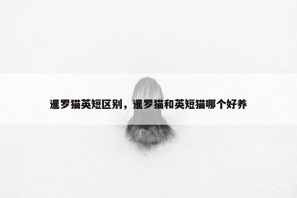 暹罗猫英短区别，暹罗猫和英短猫哪个好养