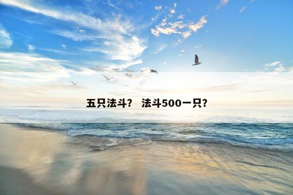 五只法斗？ 法斗500一只？