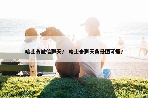 哈士奇微信聊天？ 哈士奇聊天背景图可爱？