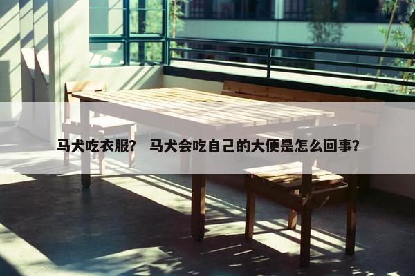 马犬吃衣服？ 马犬会吃自己的大便是怎么回事？