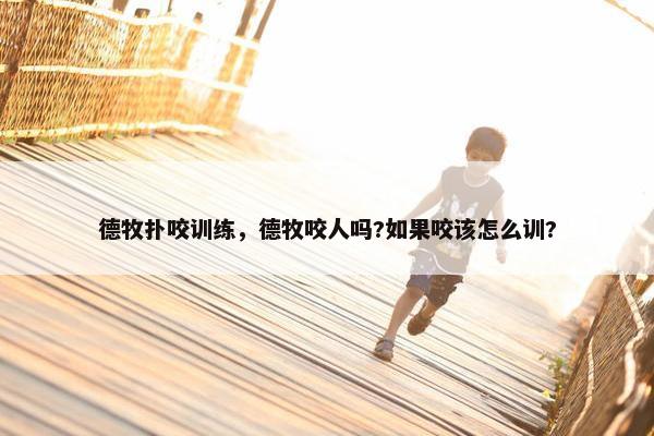 德牧扑咬训练，德牧咬人吗?如果咬该怎么训?