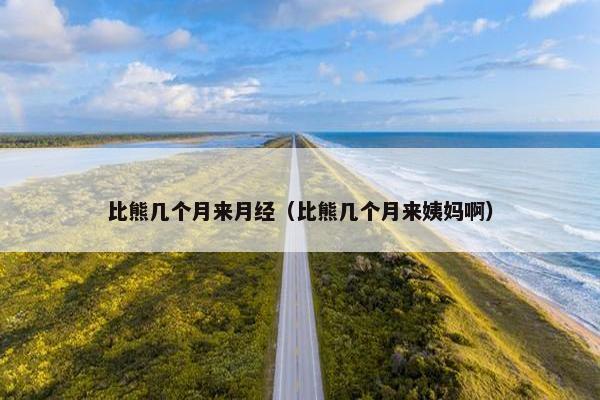 比熊几个月来月经（比熊几个月来姨妈啊）