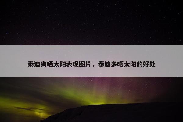泰迪狗晒太阳表现图片，泰迪多晒太阳的好处