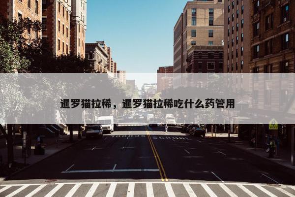 暹罗猫拉稀，暹罗猫拉稀吃什么药管用