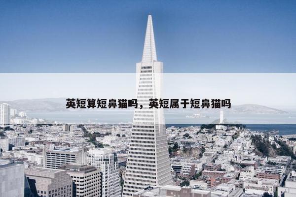 属于