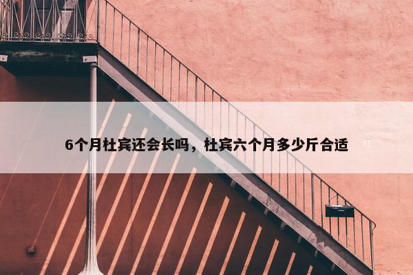 6个月杜宾还会长吗，杜宾六个月多少斤合适