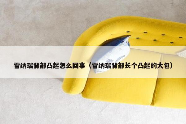 雪纳瑞背部凸起怎么回事（雪纳瑞背部长个凸起的大包）