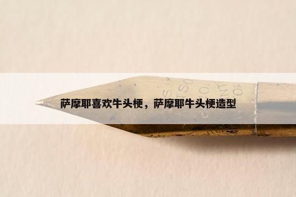 萨摩耶喜欢牛头梗，萨摩耶牛头梗造型