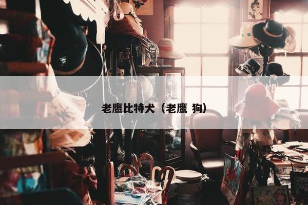 老鹰比特犬（老鹰 狗）