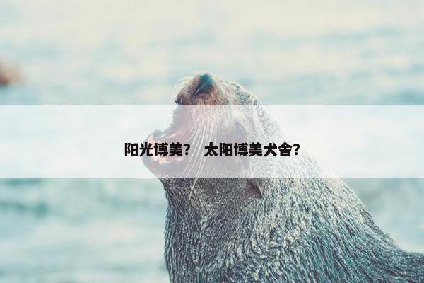 阳光博美？ 太阳博美犬舍？