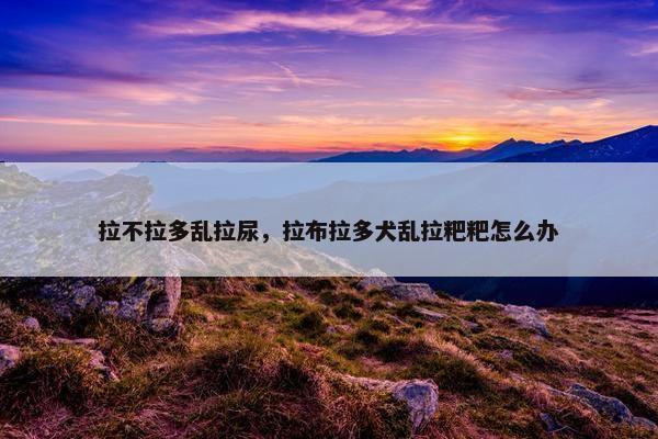 拉不拉多乱拉尿，拉布拉多犬乱拉粑粑怎么办