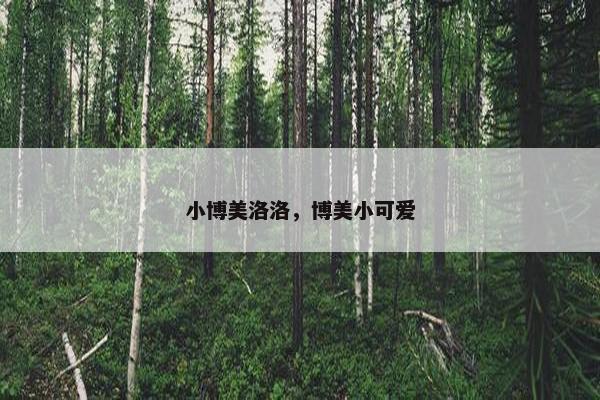 小博美洛洛，博美小可爱