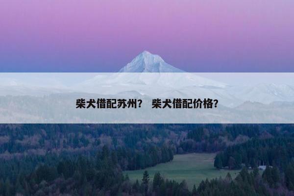 柴犬借配苏州？ 柴犬借配价格？