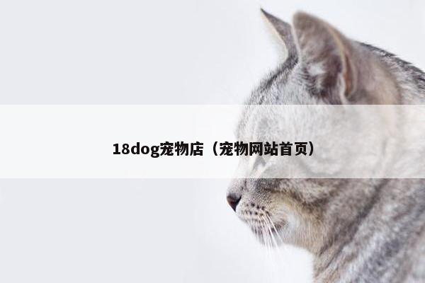 18dog宠物店（宠物网站首页）