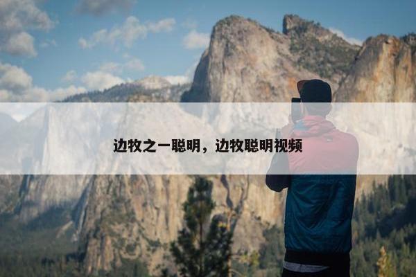 边牧之一聪明，边牧聪明视频