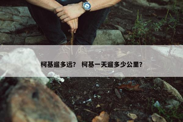 柯基遛多远？ 柯基一天遛多少公里？