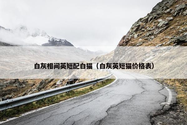 白灰相间英短配白猫（白灰英短猫价格表）