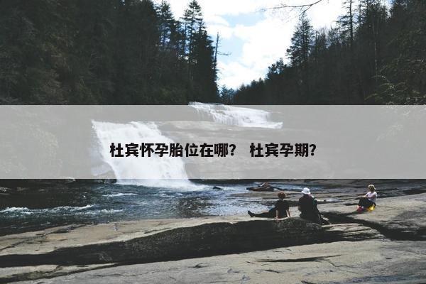 杜宾怀孕胎位在哪？ 杜宾孕期？