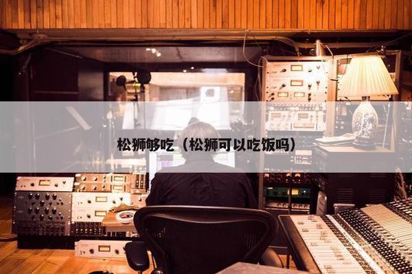 松狮够吃（松狮可以吃饭吗）