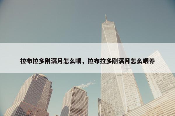 拉布拉多刚满月怎么喂，拉布拉多刚满月怎么喂养