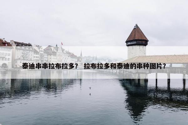 泰迪串串拉布拉多？ 拉布拉多和泰迪的串种图片？