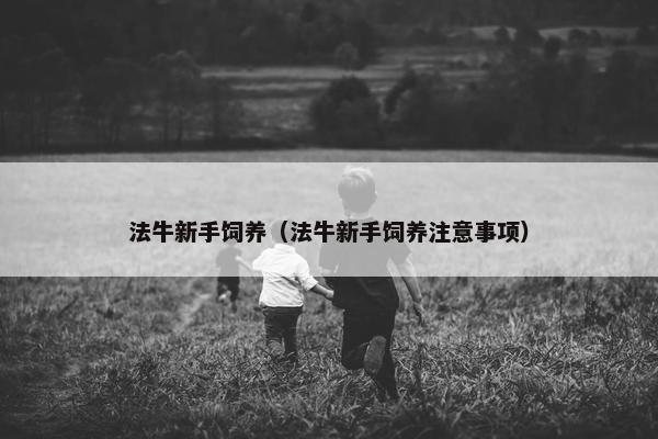 法牛新手饲养（法牛新手饲养注意事项）
