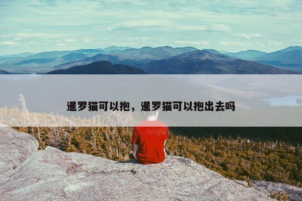 暹罗猫可以抱，暹罗猫可以抱出去吗