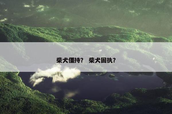 柴犬僵持？ 柴犬固执？